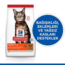 Hills Adult Kuzu Etli Yetişkin Kedi Maması 10 Kg - Thumbnail