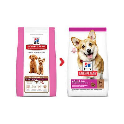 Hills Adult Small Küçük Irk Kuzulu Yetişkin Köpek Maması 6 Kg