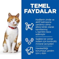 Hill's SCIENCE PLAN Somonlu Kısırlaştırılmış Yetişkin Kedi Maması 8kg+2kg HEDİYE! - Thumbnail