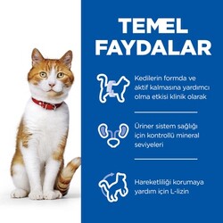 Hill's SCIENCE PLAN Tavuklu Kısırlaştırılmış Kedi Maması 3 Kg - Thumbnail