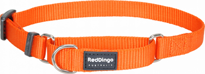 Reddingo Klasik Turuncu Boyun Eğitim Tasması L 25mm 41-63 cm