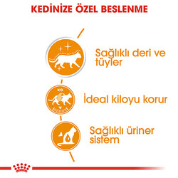 Royal Canin İntense Beauty Gravy Pouch Kedi Maması 85 Gr - Thumbnail