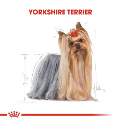 Royal Canin Yorkshire Terrier Adult Yetişkin Köpek Maması 1,5 Kg